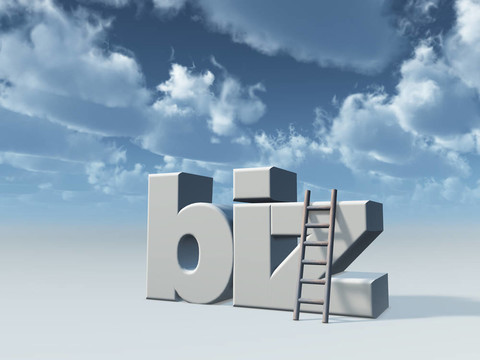 .biz域名究竟是不是国际通用域名?揭秘其国际地位与使用限制 第1张 .biz域名究竟是不是国际通用域名?揭秘其国际地位与使用限制 第1张