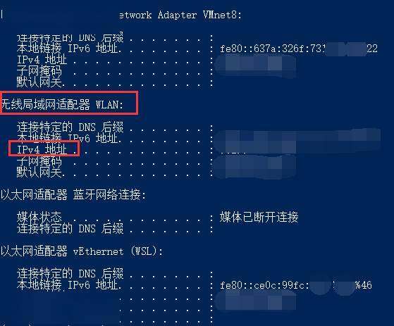 如何准确查询任意域名对应的主机IP地址? 第2张 如何准确查询任意域名对应的主机IP地址? 第2张
