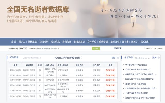 永久域名有个king背后隐藏的秘密，为何如此独特引人关注？ 第3张