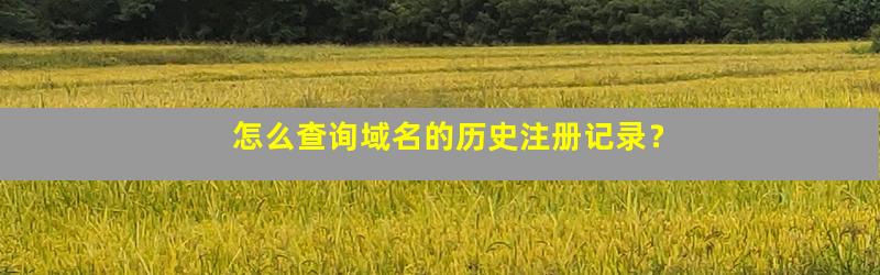 域名历史注册查询系统怎么用?域名历史记录查询方法 第2张 域名历史注册查询系统怎么用?域名历史记录查询方法 第2张