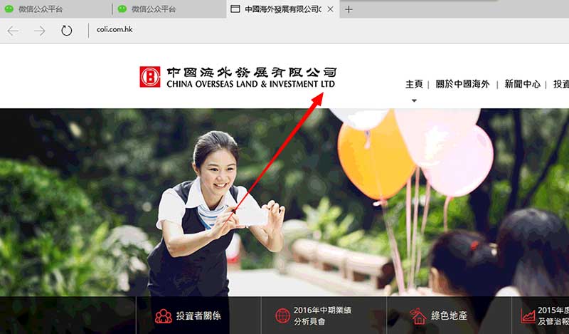 ltd域名怎么用?ltd域名注册流程及用途详解 第2张 ltd域名怎么用?ltd域名注册流程及用途详解 第2张