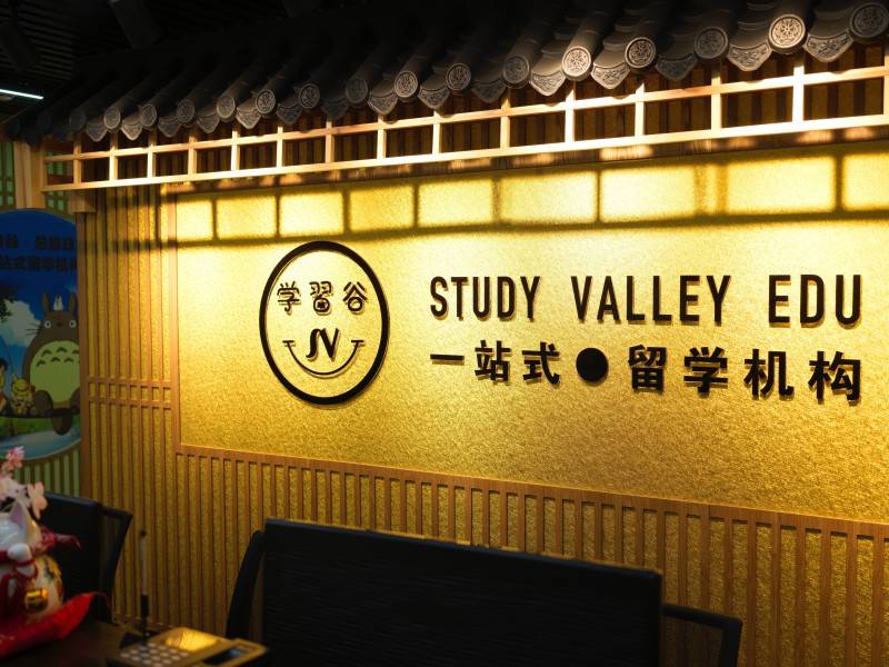 V.PS怎么样? 测评下日本VPS(大阪机房) 的真实情况! 第2张 V.PS怎么样? 测评下日本VPS(大阪机房) 的真实情况! 第2张