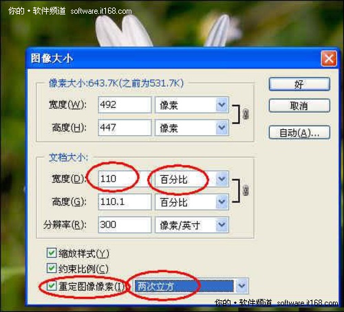 PS图像大小与存储大小关系如何?如何优化图像尺寸以减少存储空间? 第3张 PS图像大小与存储大小关系如何?如何优化图像尺寸以减少存储空间? 第3张