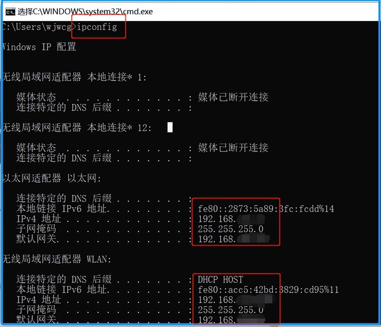如何精确查询任意域名背后的IP地址及实用技巧揭秘? 第3张 如何精确查询任意域名背后的IP地址及实用技巧揭秘? 第3张