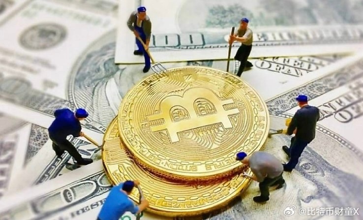 域名币注册域名如何选择性价比高的域名,避免投资风险? 第1张 域名币注册域名如何选择性价比高的域名,避免投资风险? 第1张