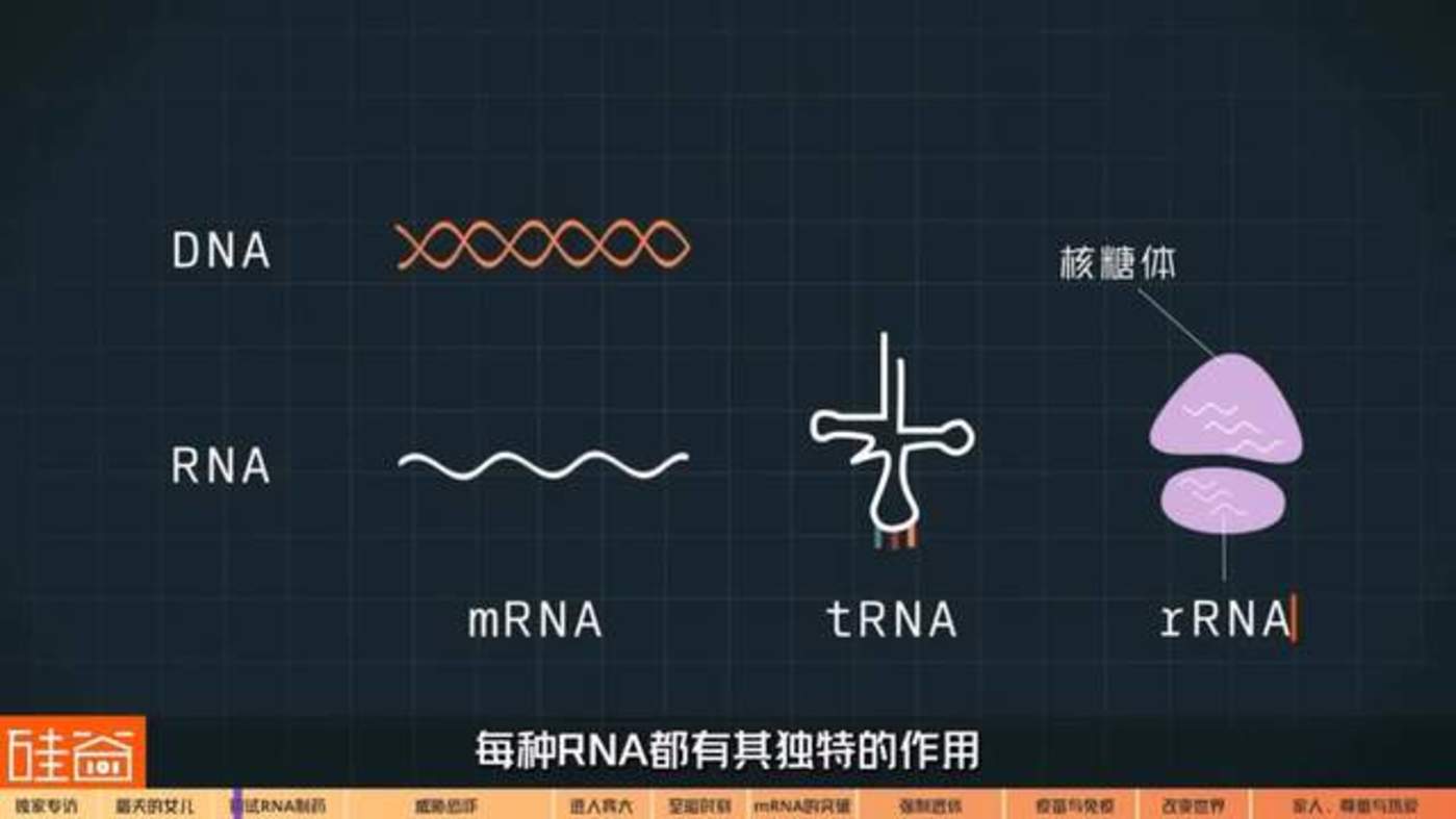 永久域名紧急域名两者有何区别?为何如此重要? 第1张 永久域名紧急域名两者有何区别?为何如此重要? 第1张