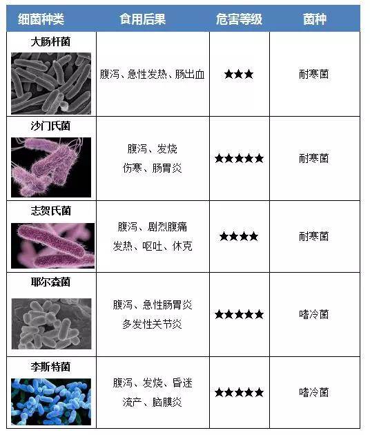 如何安全保存细菌真菌数据?方法与风险有哪些? 第1张 如何安全保存细菌真菌数据?方法与风险有哪些? 第1张