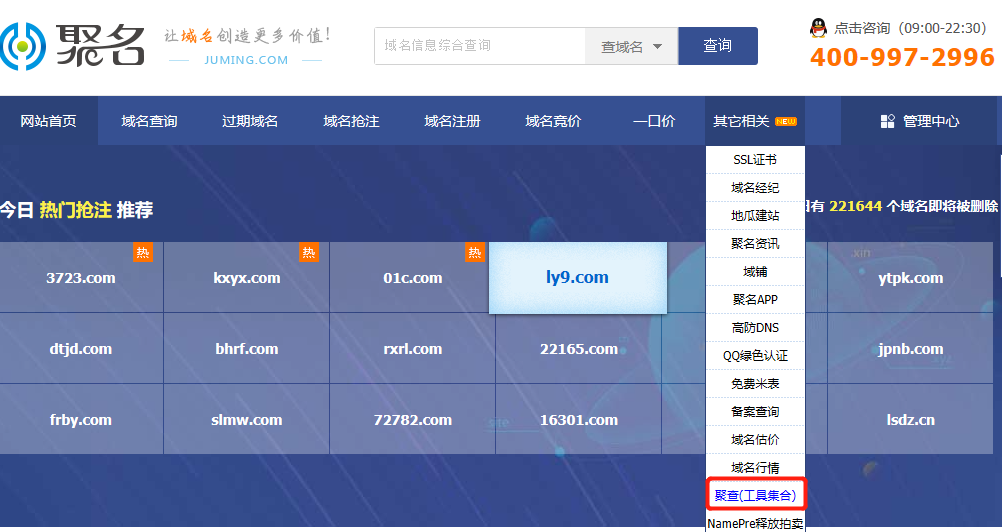 域名日是什么?最新获取域名日查询方法 第1张 域名日是什么?最新获取域名日查询方法 第1张