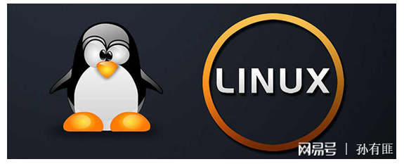 linux 查找域名,linux 如何查找域名 第1张 linux 查找域名,linux 如何查找域名 第1张