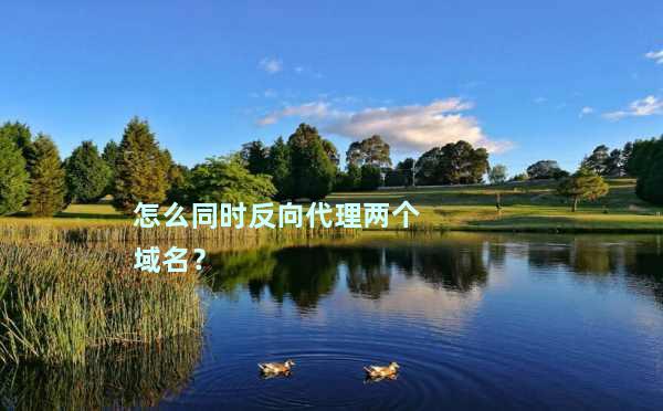 什么是反向域名解析?反向域名解析有什么作用 第3张 什么是反向域名解析?反向域名解析有什么作用 第3张