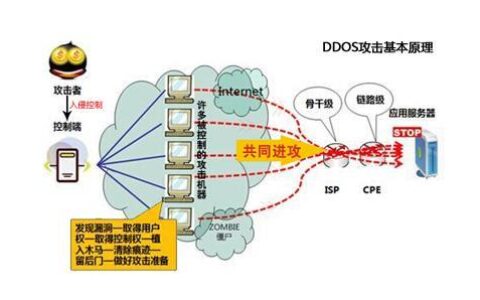 服务器被攻破网络流量高,如何快速有效处理? 第3张 服务器被攻破网络流量高,如何快速有效处理? 第3张