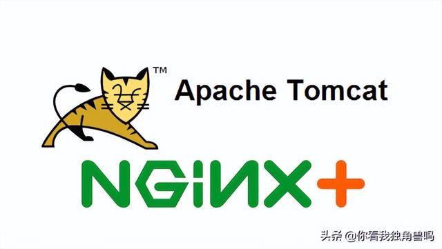 Tomcat域名和PHP域名有何区别与配置要点? 第3张 Tomcat域名和PHP域名有何区别与配置要点? 第3张