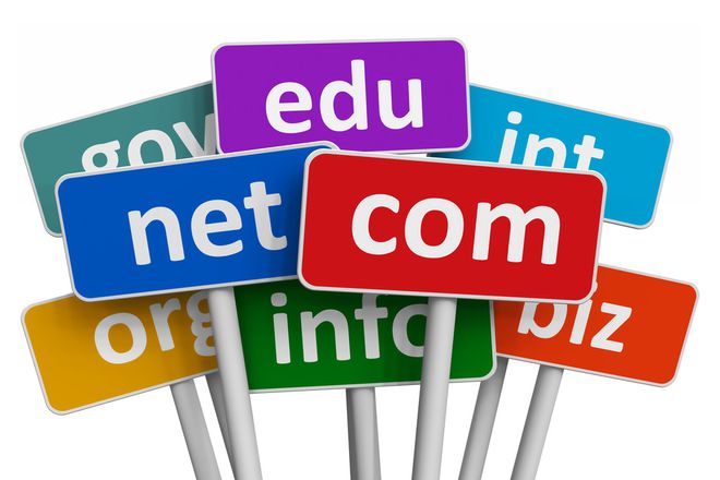 域名注册成功后，接下来该如何正确管理和利用我的新域名呢？