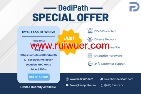#甩卖# dedipath:$50月付,双路E5-2620v2+1Gbps不限流量 第3张 #甩卖# dedipath:$50月付,双路E5-2620v2+1Gbps不限流量 第3张