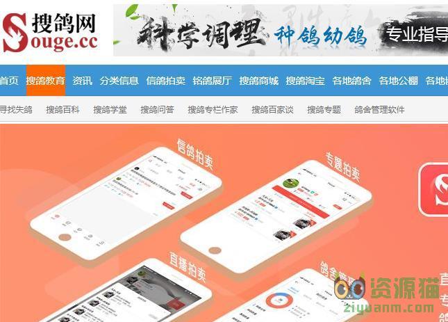 沈晓航域名怎么查?沈晓航域名查询入口在哪里 第1张 沈晓航域名怎么查?沈晓航域名查询入口在哪里 第1张
