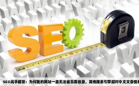 非主流域名真的能被搜索引擎收录吗?收录标准和技巧有哪些? 第1张 非主流域名真的能被搜索引擎收录吗?收录标准和技巧有哪些? 第1张