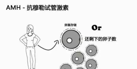 amh绑定二级域名怎么操作?amh绑定二级域名教程 第1张 amh绑定二级域名怎么操作?amh绑定二级域名教程 第1张