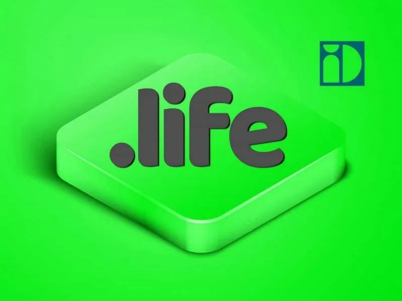 life域名属于哪个国家?快速查询其注册国家归属信息?