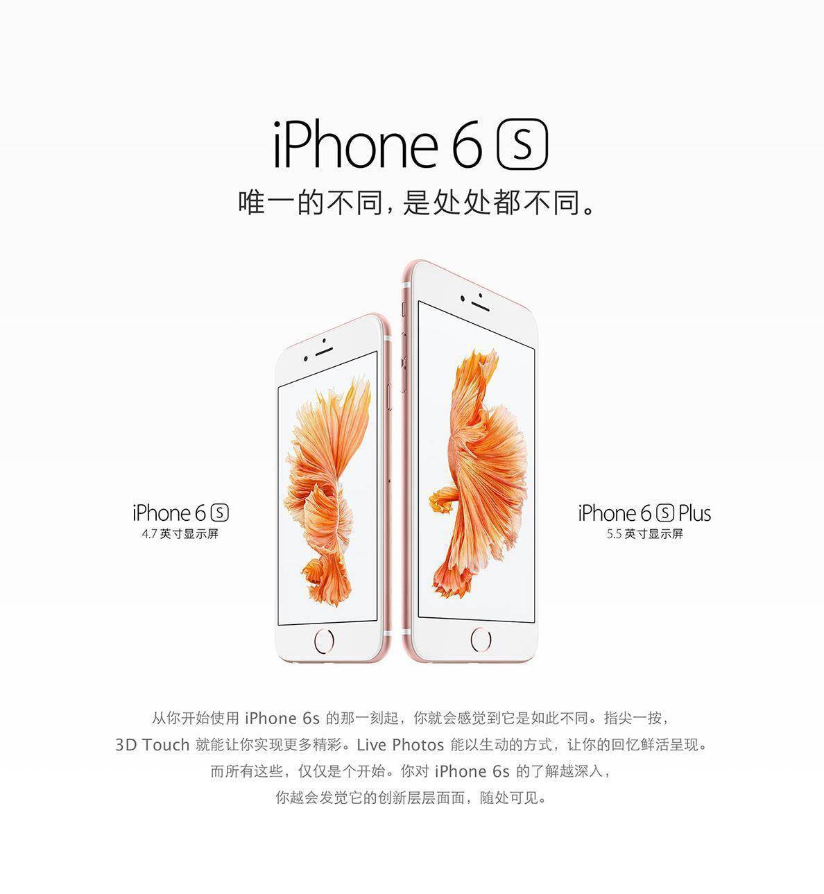iPhone 6p具体配置参数全面揭秘,有哪些亮点和不足? 第3张 iPhone 6p具体配置参数全面揭秘,有哪些亮点和不足? 第3张
