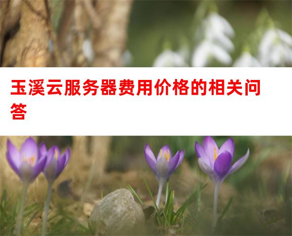 在玉溪租用便宜云服务器,哪家最稳定且性价比高? 第3张 在玉溪租用便宜云服务器,哪家最稳定且性价比高? 第3张