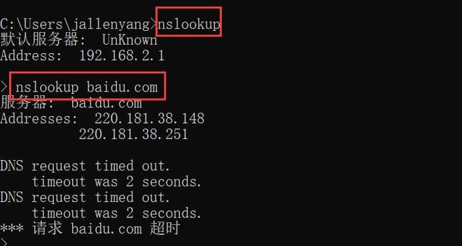 如何通过系统命令查询域名的IP地址?