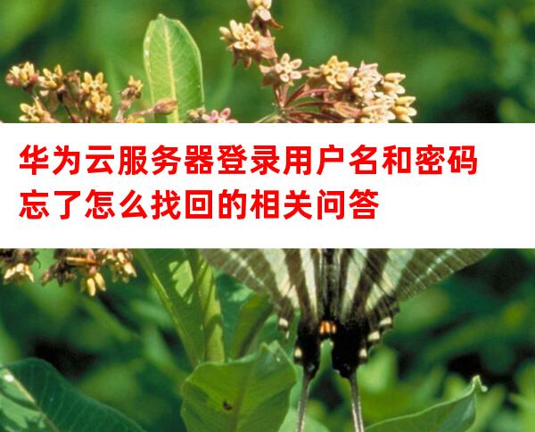 服务器用户名忘记了怎么查询找回? 第3张 服务器用户名忘记了怎么查询找回? 第3张