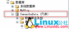 附加数据库后为只读 第2张 附加数据库后为只读 第2张