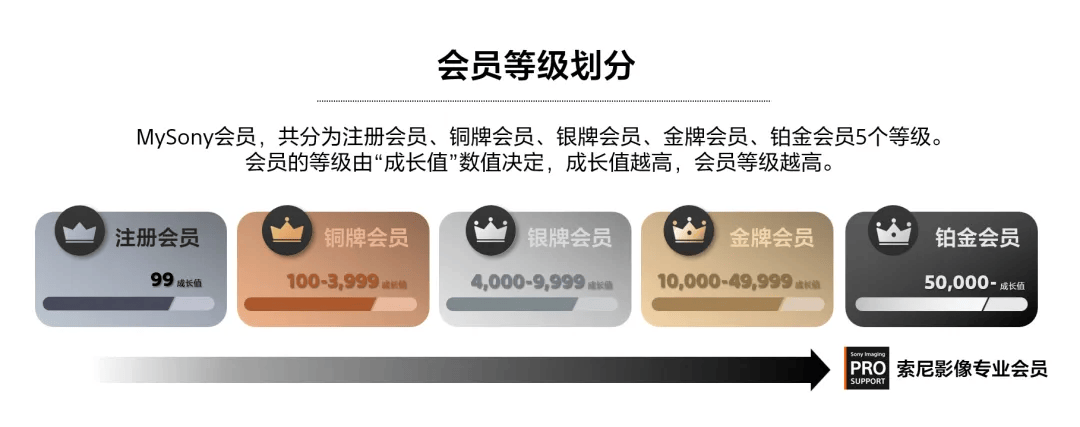 域名分等级吗?揭秘不同级别域名的功能和价格差异! 第3张 域名分等级吗?揭秘不同级别域名的功能和价格差异! 第3张