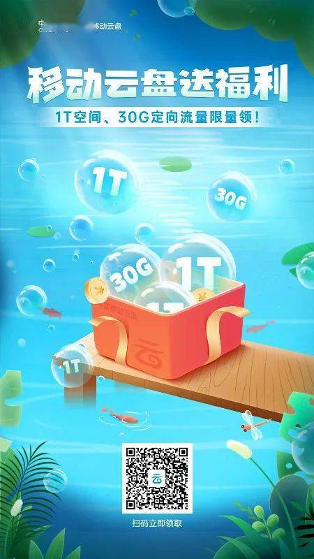 hostsolutions:$28/年,抗反馈VPS,1T硬盘,适合存储玩BT之类的 第1张 hostsolutions:$28/年,抗反馈VPS,1T硬盘,适合存储玩BT之类的 第1张