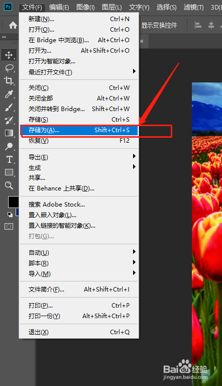 如何设置Photoshop中保存图片为JPG格式的具体存储选项? 第1张 如何设置Photoshop中保存图片为JPG格式的具体存储选项? 第1张
