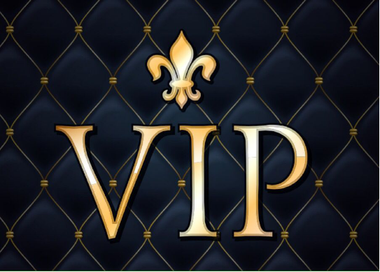 .vip域名究竟是什么?揭秘其独特之处和使用场景 第3张 .vip域名究竟是什么?揭秘其独特之处和使用场景 第3张