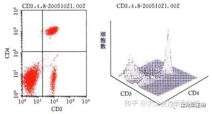 平面流式图像技术基于何种原理运作?详解其技术奥秘! 第1张 平面流式图像技术基于何种原理运作?详解其技术奥秘! 第1张