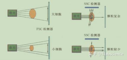 平面流式图像技术基于何种原理运作?详解其技术奥秘! 第3张 平面流式图像技术基于何种原理运作?详解其技术奥秘! 第3张