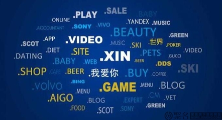 新顶级域名后缀是什么?企业如何选择适合自身品牌的新顶级域名后缀? 第2张 新顶级域名后缀是什么?企业如何选择适合自身品牌的新顶级域名后缀? 第2张