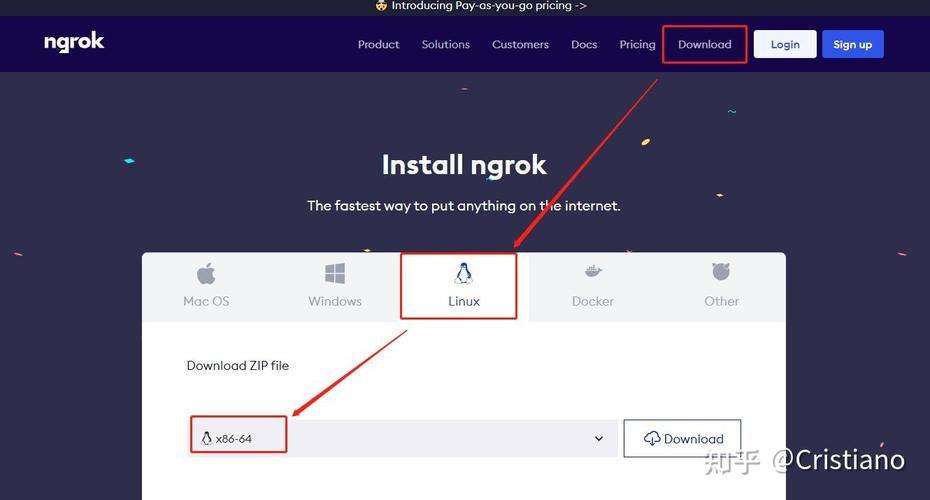 ngrok 绑定域名失败怎么办?ngrok 绑定域名教程 第3张 ngrok 绑定域名失败怎么办?ngrok 绑定域名教程 第3张