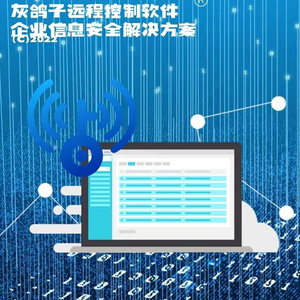 灰鸽子配置服务,如何实现高效远程控制与数据安全? 第3张 灰鸽子配置服务,如何实现高效远程控制与数据安全? 第3张