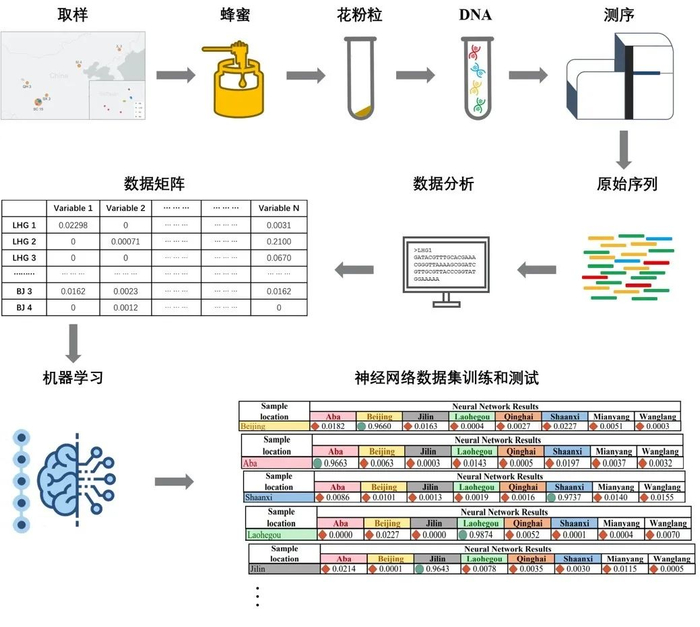 aspid自动排序系统揭秘,它是如何工作的?有哪些潜在问题? 第2张 aspid自动排序系统揭秘,它是如何工作的?有哪些潜在问题? 第2张