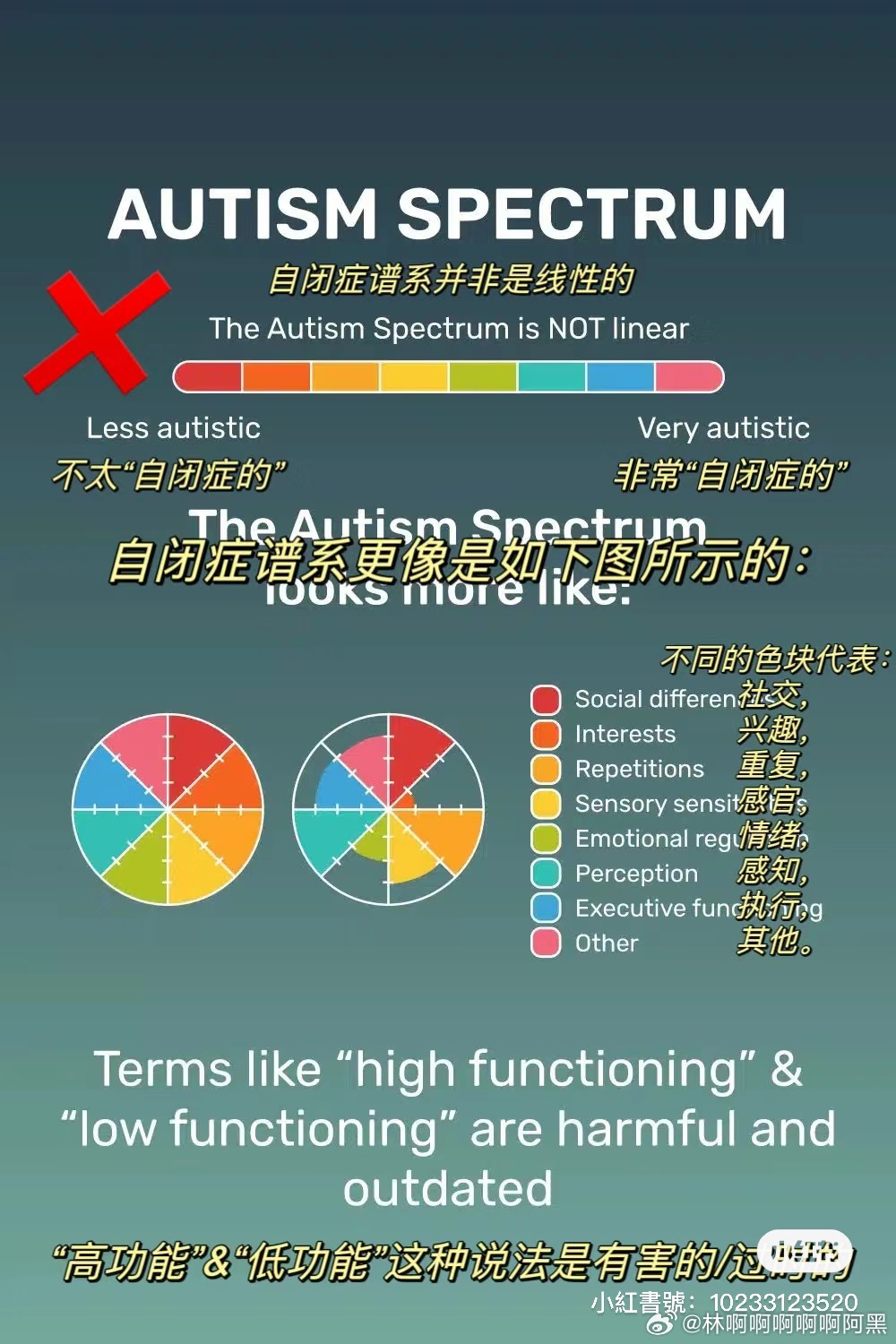 aspie究竟是什么意思?揭秘自闭症谱系障碍的缩写之谜 第2张 aspie究竟是什么意思?揭秘自闭症谱系障碍的缩写之谜 第2张
