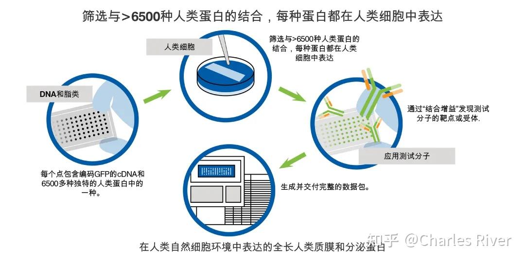 非冗余蛋白质数据库众多,具体都有哪些?如何区分和选择? 第1张 非冗余蛋白质数据库众多,具体都有哪些?如何区分和选择? 第1张