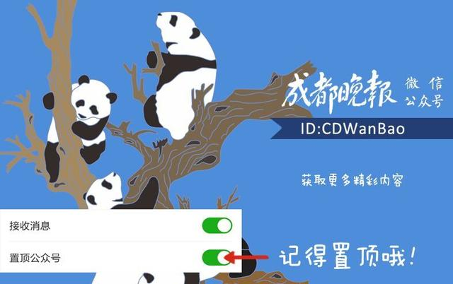四川成都域名,有何独特之处?揭秘成都域名背后的故事与价值。 第2张 四川成都域名,有何独特之处?揭秘成都域名背后的故事与价值。 第2张