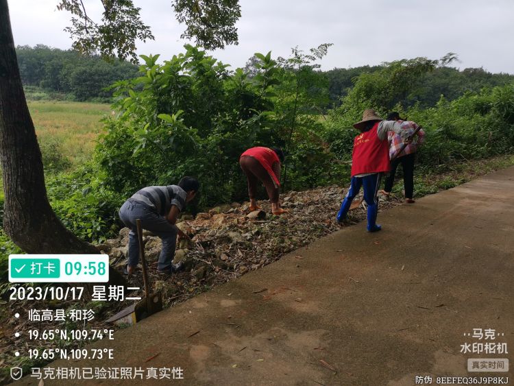坳上镇刷树防虫主题党日活动为何选刷树方式防虫? 第1张 坳上镇刷树防虫主题党日活动为何选刷树方式防虫? 第1张