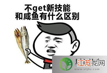 get网络中文是什么意思?一文读懂网络流行词get的含义与用法 第1张 get网络中文是什么意思?一文读懂网络流行词get的含义与用法 第1张