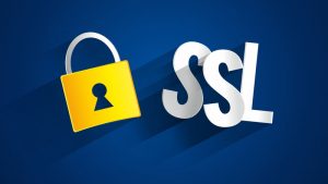 SSL三级域名究竟有何优势?为何在网络安全中如此重要? 第1张 SSL三级域名究竟有何优势?为何在网络安全中如此重要? 第1张
