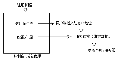 花生壳域名购买流程是什么?价格、步骤及注册后管理全解析? 第2张 花生壳域名购买流程是什么?价格、步骤及注册后管理全解析? 第2张