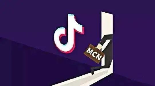 抖音是哪里公司开发的?官方开发公司及背景详解的详细内容解析 第2张 抖音是哪里公司开发的?官方开发公司及背景详解的详细内容解析 第2张