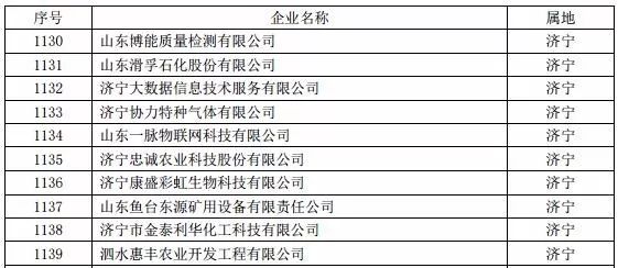 济宁专业网站开发服务哪家好，济宁做网站多少钱？ 第3张