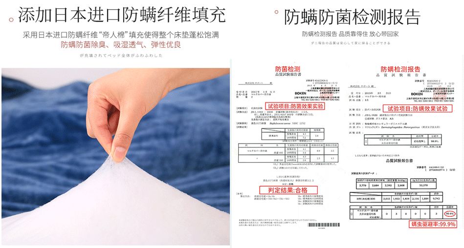 ServerMania日本高防独服怎么样?300G清洗防御值得买吗? 第2张 ServerMania日本高防独服怎么样?300G清洗防御值得买吗? 第2张