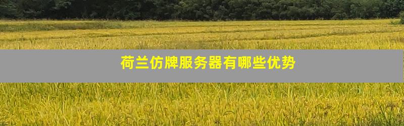 酷番云荷兰服务器测评怎么样,酷番云荷兰服务器值得买吗 第3张 酷番云荷兰服务器测评怎么样,酷番云荷兰服务器值得买吗 第3张