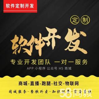南阳定制小程序开发,为什么找专业团队开发更划算? 第2张 南阳定制小程序开发,为什么找专业团队开发更划算? 第2张
