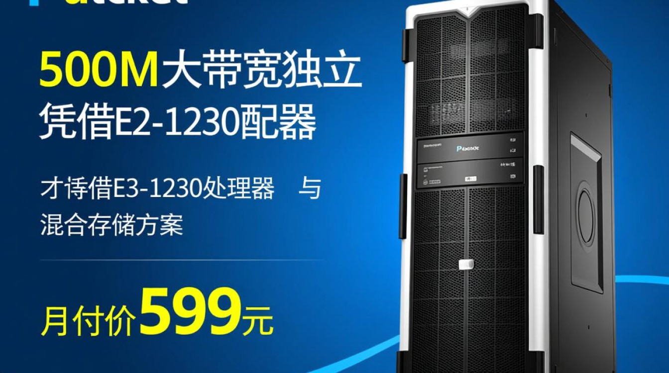 DataPacket 500M独服好吗?599元不限流量值得买吗? 第2张 DataPacket 500M独服好吗?599元不限流量值得买吗? 第2张
